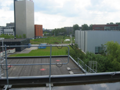 img 3093