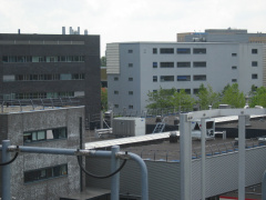 img 3098