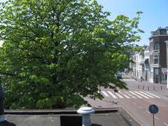 IMG 4235