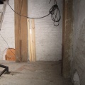 IMG 1239