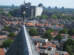 img 3231