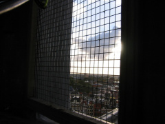 img 0049