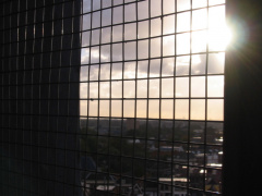 img 0050
