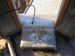 img 0061