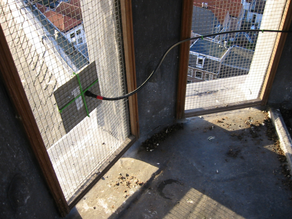 img 0062
