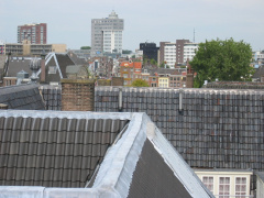 cope 11aug20050003
