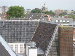 cope 11aug20050004