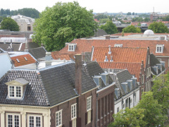 cope 11aug20050021