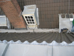 cope 11aug20050030