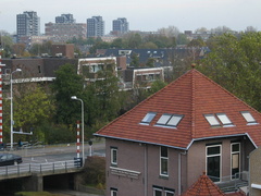 IMG 0264