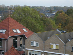 IMG 0265