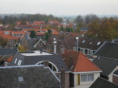 IMG 0269