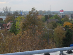 IMG 0284