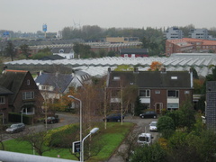IMG 0286