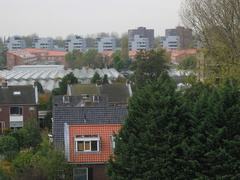 IMG 0287