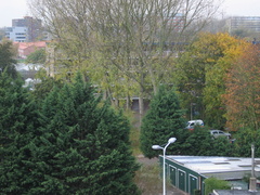 IMG 0288