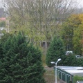 IMG 0288