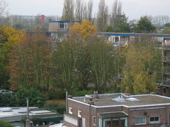 IMG 0289