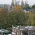 IMG 0289