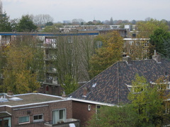 IMG 0290