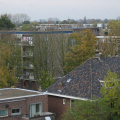 IMG 0290