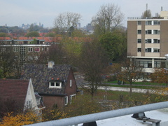 IMG 0292