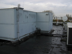 IMG 0275