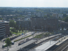IMG 5590