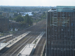 IMG 5591