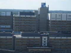 IMG 5593