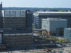 IMG 5594