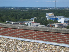 IMG 5603