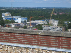 IMG 5604