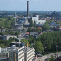 IMG 5613