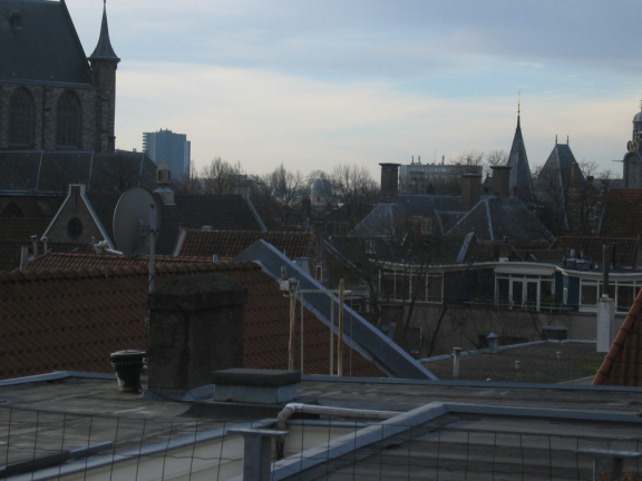 DimensionalInsight 3