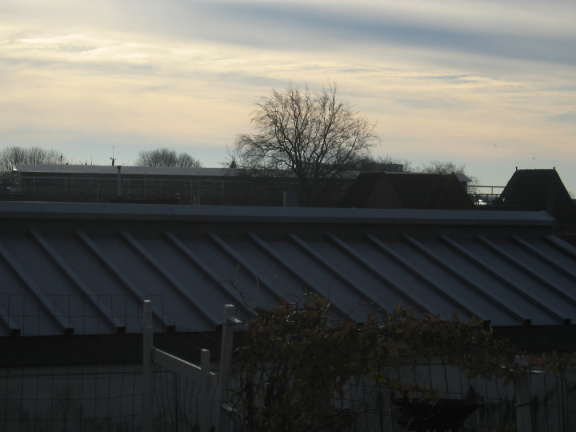 DimensionalInsight 7