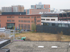 HSL 78