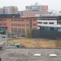 HSL 78