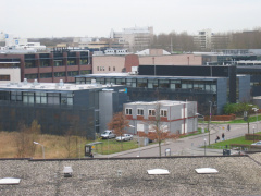 HSL 79