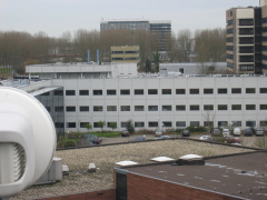 HSL 81