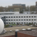 HSL 81
