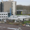 HSL 82