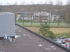 HSL 85