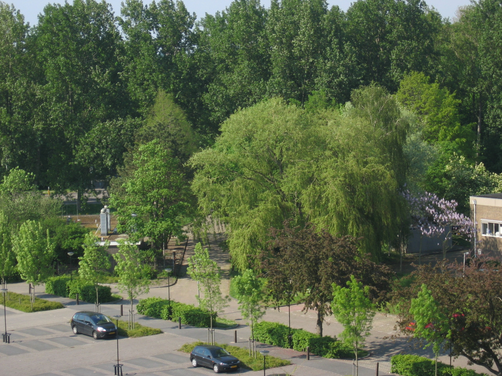 panorama mei2008 115