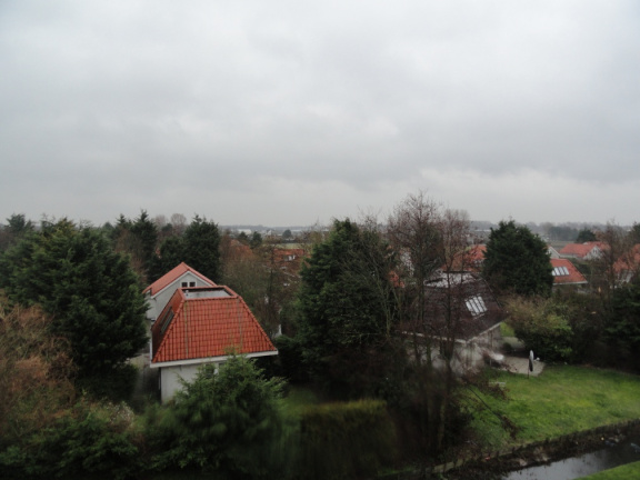 DSC00451