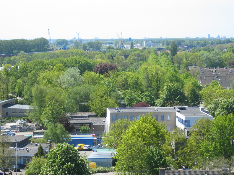 IMG 0861