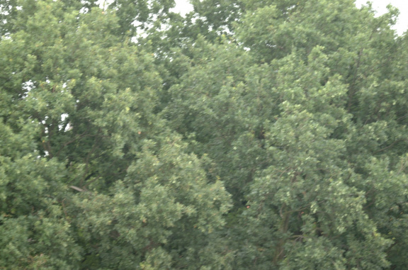 dscf2621