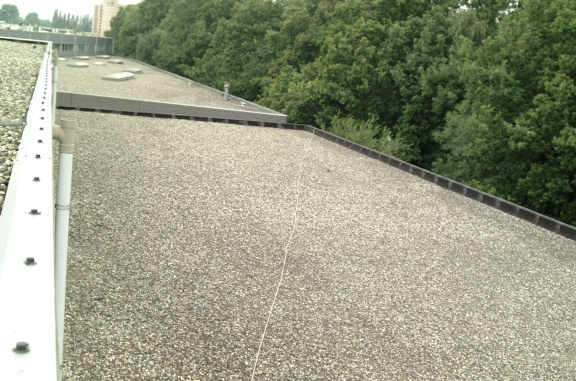 dscf2636