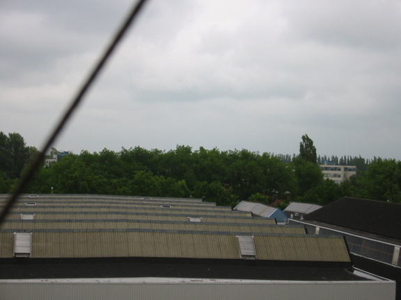 img 0929