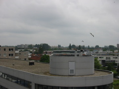 img 0932